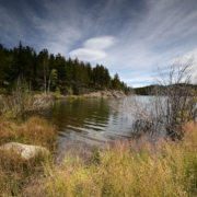 holistic approach counseling