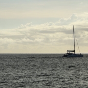 life transitions counseling