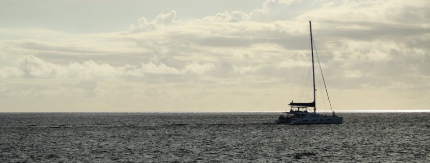 life transitions counseling